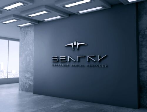 Sentry – logo